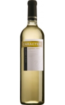 Bodegas Santa Ana Carаcter Chardonnay-Chenin